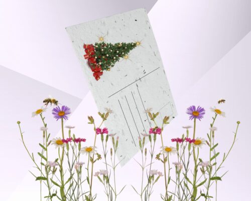 Kerstkaart van groeipapier die je na de feestdagen in de grond stopt zodat er bloemen groeien.